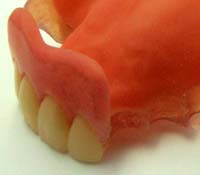 ���炩�ȓ��ꎕ�E�\�t�g�`���E�����s�`�斃�z�\��