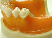 ���ꎕ�̋�������ł͂Ȃ������׽��